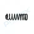 Ressort de suspension PROFLEX PX1-0195 - Visuel 2
