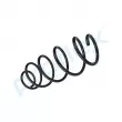 Ressort de suspension PROFLEX PX1-0196 - Visuel 3