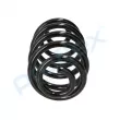Ressort de suspension PROFLEX PX1-0219 - Visuel 2