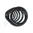 Ressort de suspension PROFLEX PX1-0229 - Visuel 3