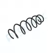 Ressort de suspension PROFLEX PX1-0232 - Visuel 3