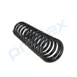 Ressort de suspension PROFLEX PX1-0243 - Visuel 2
