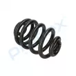 Ressort de suspension PROFLEX PX1-0245 - Visuel 3