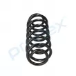 Ressort de suspension PROFLEX PX1-0255 - Visuel 2