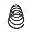 Ressort de suspension PROFLEX PX1-0261 - Visuel 2