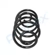 Ressort de suspension PROFLEX PX1-0265 - Visuel 2