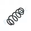 Ressort de suspension PROFLEX PX1-0270 - Visuel 3