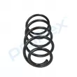 Ressort de suspension PROFLEX PX1-0283 - Visuel 2