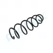 Ressort de suspension PROFLEX PX1-0287 - Visuel 3
