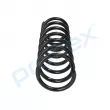 Ressort de suspension PROFLEX PX1-0289 - Visuel 2
