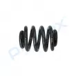 Ressort de suspension PROFLEX PX1-0305 - Visuel 2