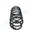 Ressort de suspension PROFLEX PX1-0307 - Visuel 2