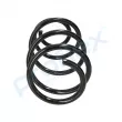 Ressort de suspension PROFLEX PX1-0310 - Visuel 2