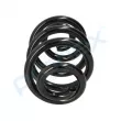 Ressort de suspension PROFLEX PX1-0319 - Visuel 2