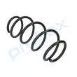 Ressort de suspension PROFLEX PX1-0322 - Visuel 3