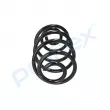 Ressort de suspension PROFLEX PX1-0361 - Visuel 2