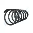 Ressort de suspension PROFLEX PX1-0369 - Visuel 3