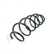 Ressort de suspension PROFLEX PX1-0371 - Visuel 3