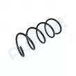 Ressort de suspension PROFLEX PX1-0379 - Visuel 3