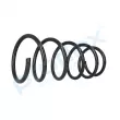 Ressort de suspension PROFLEX PX1-0401 - Visuel 2