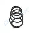 Ressort de suspension PROFLEX PX1-0406 - Visuel 2