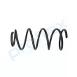 Ressort de suspension PROFLEX PX1-0407 - Visuel 2