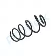 Ressort de suspension PROFLEX PX1-0407 - Visuel 3