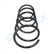 Ressort de suspension PROFLEX PX1-0428 - Visuel 2