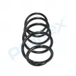 Ressort de suspension PROFLEX PX1-0438 - Visuel 2