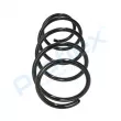 Ressort de suspension PROFLEX PX1-0451 - Visuel 2