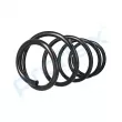 Ressort de suspension PROFLEX PX1-0463 - Visuel 3