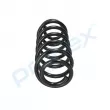 Ressort de suspension PROFLEX PX1-0479 - Visuel 2