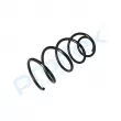 Ressort de suspension PROFLEX PX1-0491 - Visuel 3