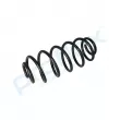 Ressort de suspension PROFLEX PX1-0497 - Visuel 3