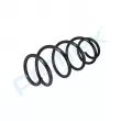 Ressort de suspension PROFLEX PX1-0528 - Visuel 3