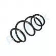Ressort de suspension PROFLEX PX1-0530 - Visuel 3