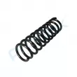 Ressort de suspension PROFLEX PX1-0565 - Visuel 3