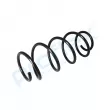 Ressort de suspension PROFLEX PX1-0606 - Visuel 3