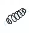 Ressort de suspension PROFLEX PX1-0616 - Visuel 3