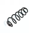 Ressort de suspension PROFLEX PX1-0619 - Visuel 3
