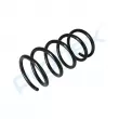 Ressort de suspension PROFLEX PX1-0657 - Visuel 3
