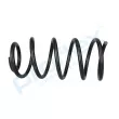 Ressort de suspension PROFLEX PX1-0665 - Visuel 2