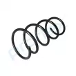 Ressort de suspension PROFLEX PX1-0674 - Visuel 3
