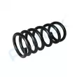 Ressort de suspension PROFLEX PX1-0694 - Visuel 3