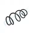 Ressort de suspension PROFLEX PX1-0698 - Visuel 3