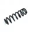 Ressort de suspension PROFLEX PX1-0711 - Visuel 3