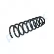 Ressort de suspension PROFLEX PX1-0745 - Visuel 3