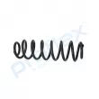Ressort de suspension PROFLEX PX1-0747 - Visuel 2