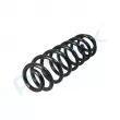 Ressort de suspension PROFLEX PX1-0747 - Visuel 3