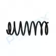Ressort de suspension PROFLEX PX1-0769 - Visuel 2